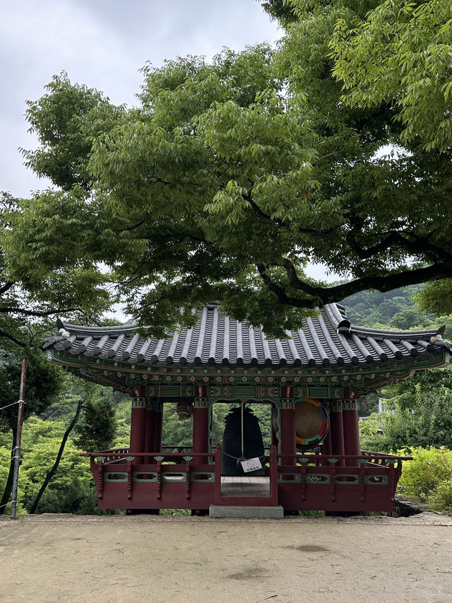 역사가 깊은 오래된 사찰에서 머무르는 🌞 여름철 시원한 산공기를 마실 수 있는 템플스테이