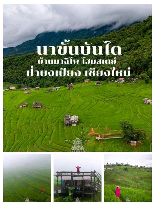 แชร์พิกัดที่เที่ยวที่พักเชียงใหม่หน้าฝน