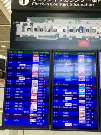 東京　東京観光　成田国際空港はやっぱりデカいぞ！