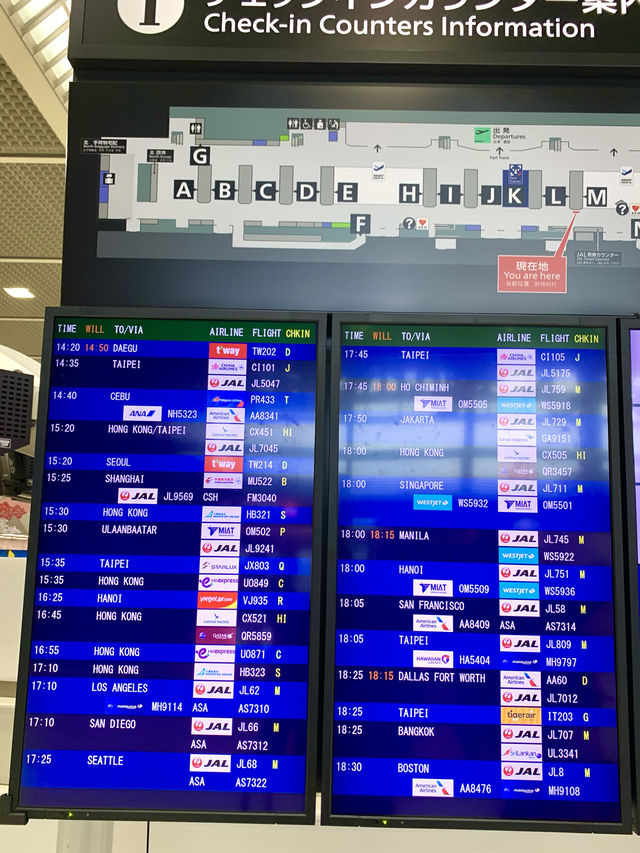 東京　東京観光　成田国際空港はやっぱりデカいぞ！