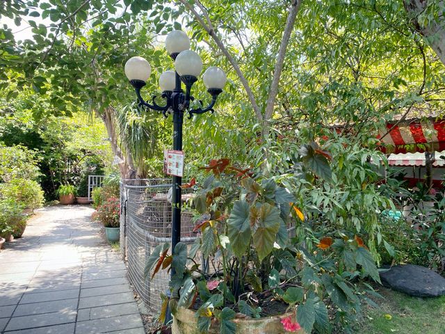 八德角樂園-綠蔭新天地