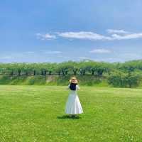 【北海道】函館の美しい自然を満喫