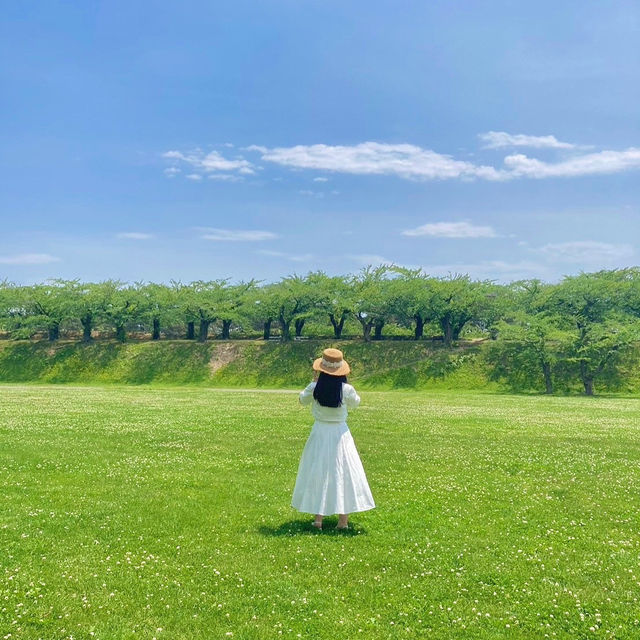 【北海道】函館の美しい自然を満喫