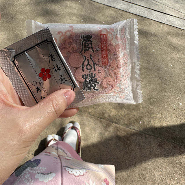 〜京都府〜学問、芸能のパワースポット！北野天満宮