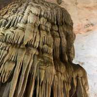 Natural heritage that you can touch with your bare hands 