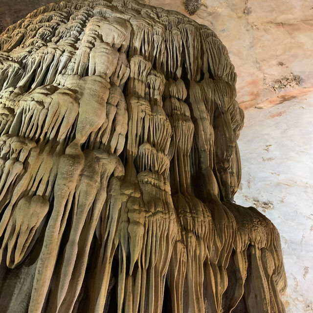 Natural heritage that you can touch with your bare hands 