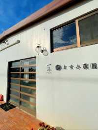 【西表島】地元の食材を使ったピザも🍕メニュー豊富なダイニング！一隼