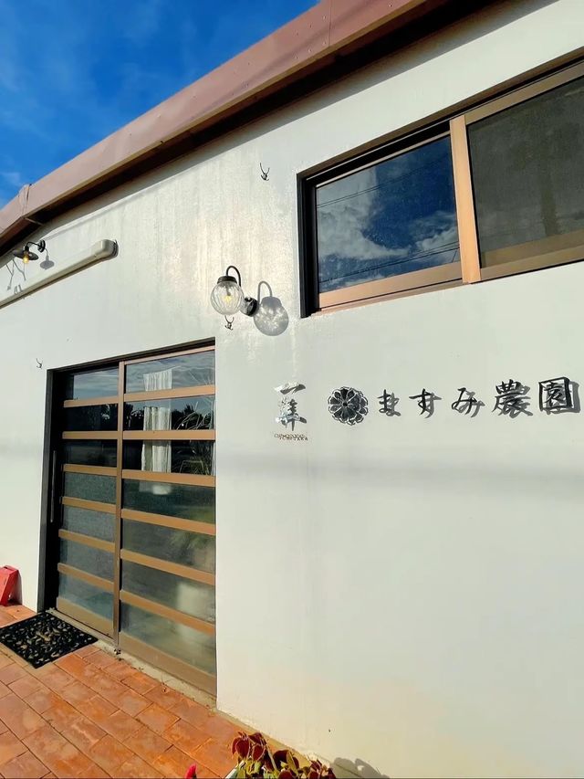 【西表島】地元の食材を使ったピザも🍕メニュー豊富なダイニング！一隼