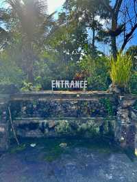 A hidden waterfall in Bali?! 