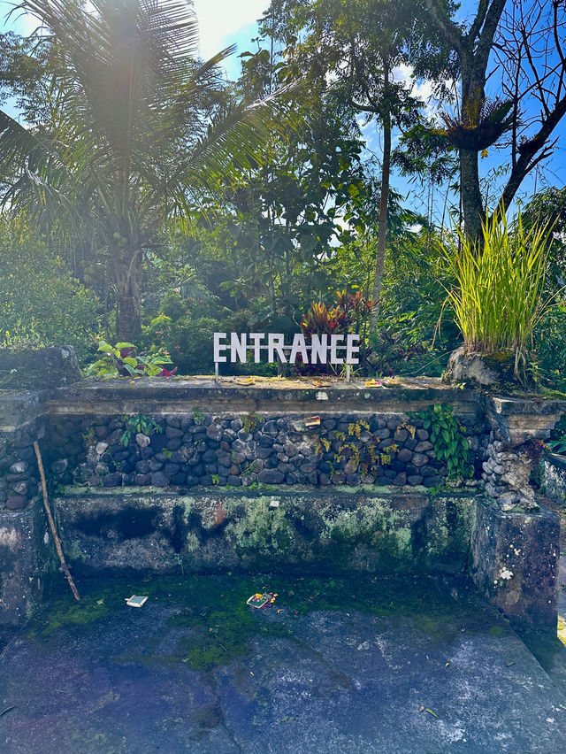 A hidden waterfall in Bali?! 