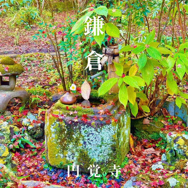 〜神奈川県〜鎌倉映えスポット！円覚寺