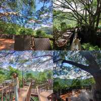 5 คาเฟ่ฮิต แม่กำปอง แม่ลาย