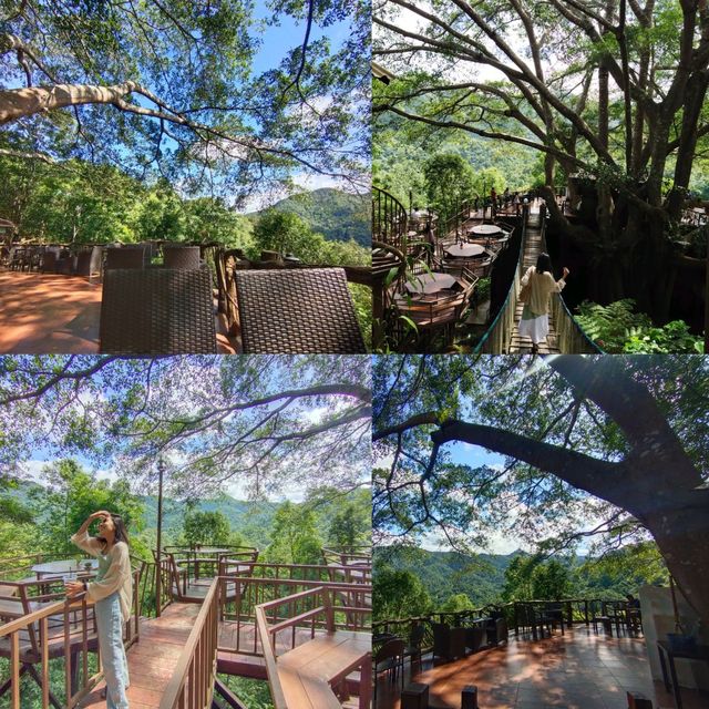 5 คาเฟ่ฮิต แม่กำปอง แม่ลาย