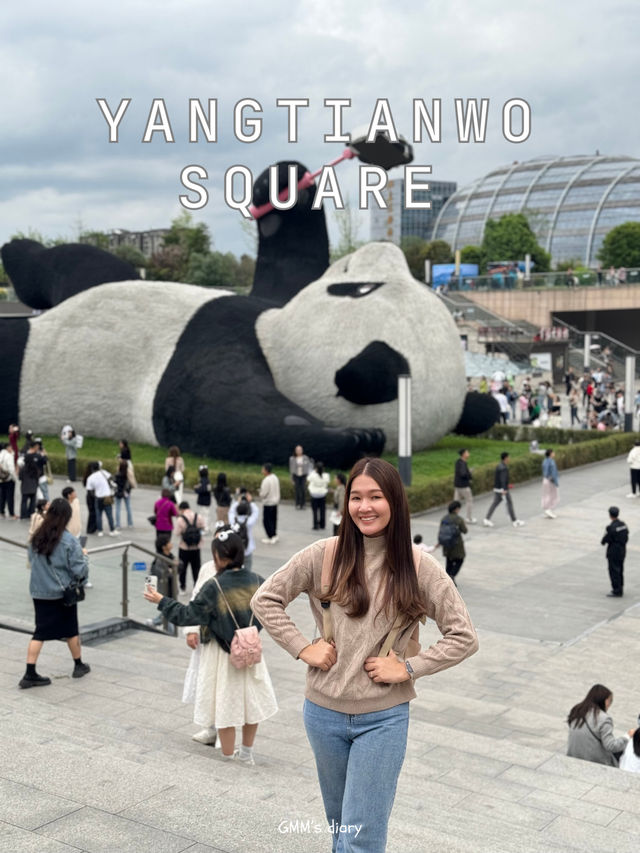 พาตะลุยดินแดนแพนด้า ที่จตุรัสหยางเทียน 🐼🌸✨