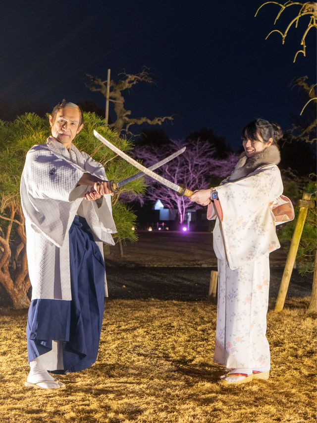 〜京都府〜世界遺産二条城桜まつり