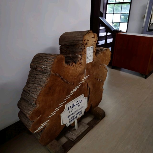 일본여행 삿포로 기념관 宮部金吾記念館