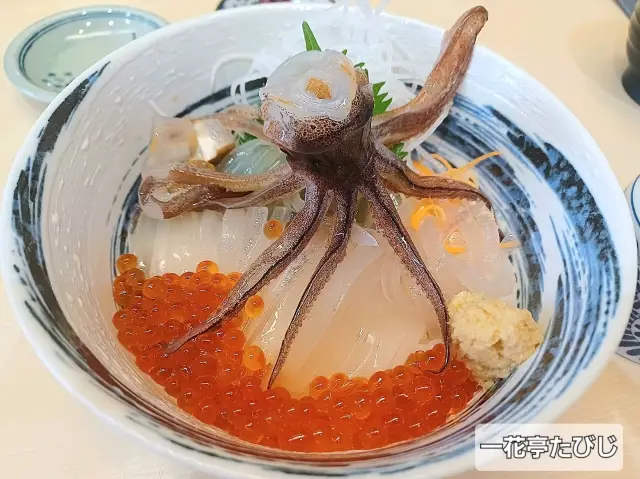 【北海道函館市】函館市必吃美食介紹