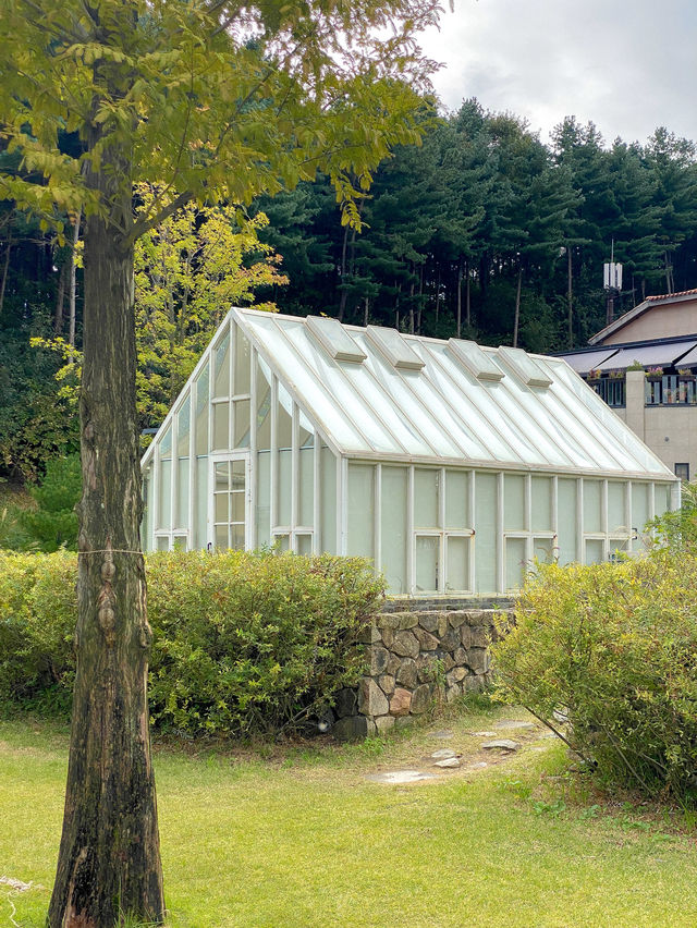 자연 속 힐링 할 수 있는 티하우스 에덴🌿