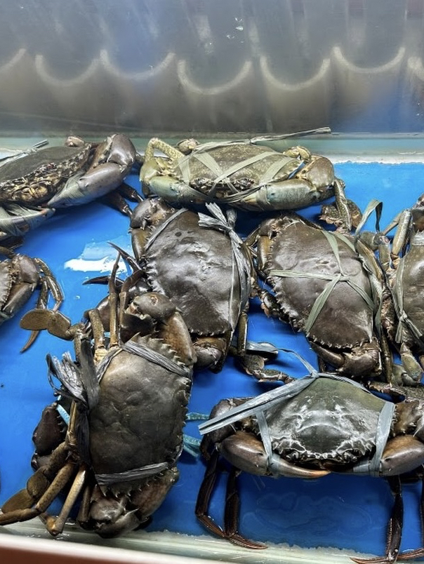 セブでオススメ❣️チリクラブ🦀🔥 | Trip.com セブ
