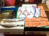 รีวิว ตลาดปลา Noryangjin 🐟🦐🦞🦀 (กรุงโซล)