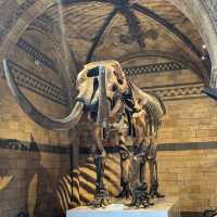 Natural History Museum