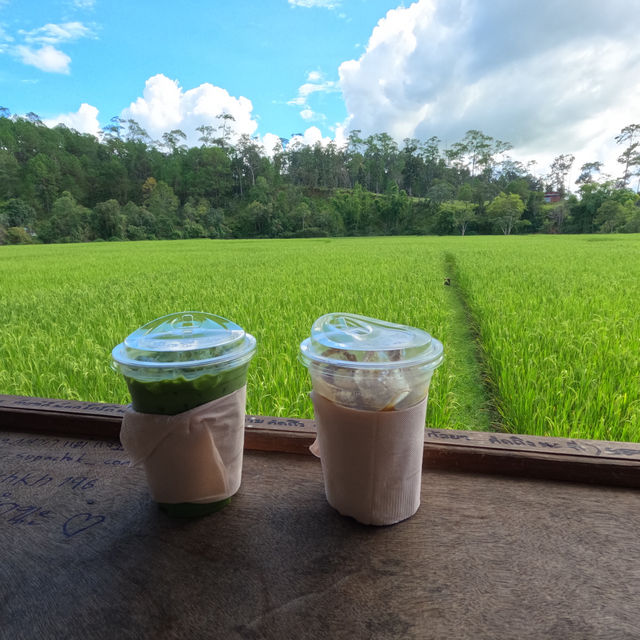คาเฟ่น่าแวะเมืองกัลยาณิวัฒนา เชียงใหม่ 