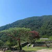 「安山星光村～懷舊韓屋村」