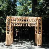 【埼玉】風鈴の音色が美しい🎐「川越氷川神社」