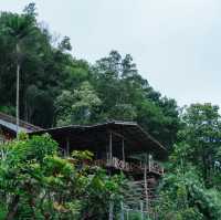 แม่ยายโฮมสเตย์ : Specialty Coffee&Home stay