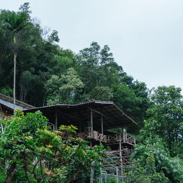 แม่ยายโฮมสเตย์ : Specialty Coffee&Home stay