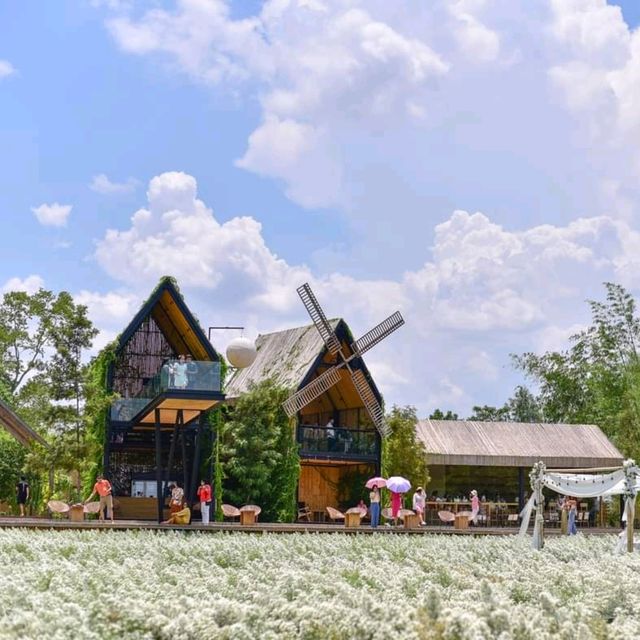 CHAN​ nature​ cafe​