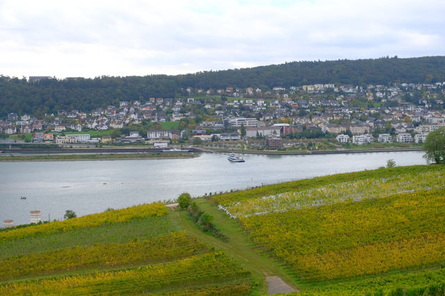 德國Rüdesheimer Berg Roseneck葡萄園給愛葡萄酒的人