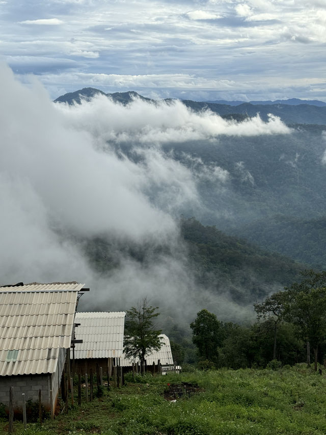 ห้วยกุ๊บกั๊บ | ฤดูฝน 🏡⛰️🌧️🌿
