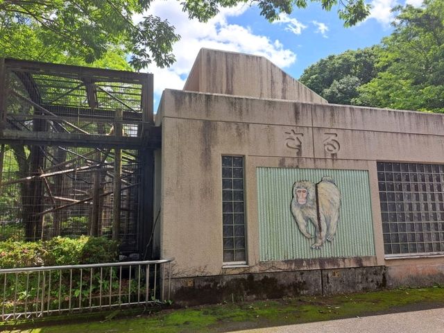 【鹿児島市平川動物公園】壮大な敷地で色んな動物を見に行こう🐨