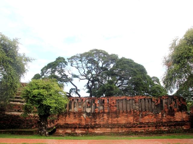 ไปเที่ยววัดพระศรีสรรเพชญ์