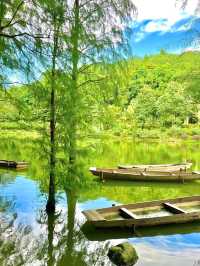 《郊遊》【深圳仙湖植物園】豐富植物景觀，化石森林展示自然奇觀。適合郊遊、中式園林愛好者