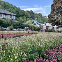 Wellington Day Out: Nature and Nightlife