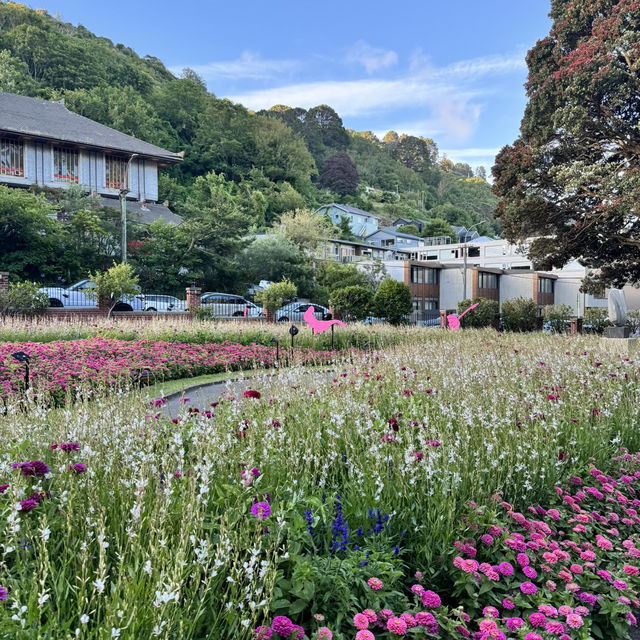 Wellington Day Out: Nature and Nightlife