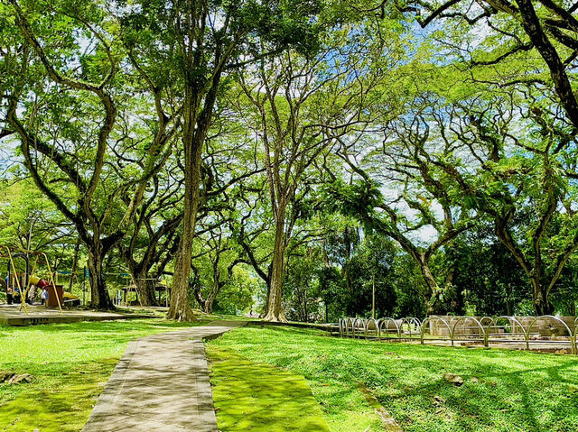 It’s the perfect spot to unwind and connect with nature🇲🇾