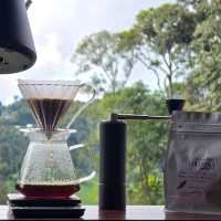 Matsika Coffee Farm บ้านปางขอน