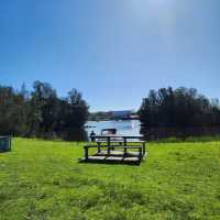 A Tranquil Escape with Kangaroos