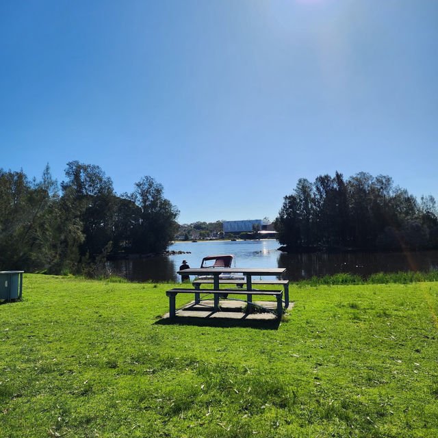 A Tranquil Escape with Kangaroos