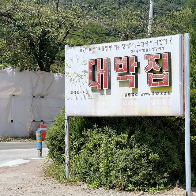 특이한 음식이 땡길때, 옥천 대박집 생선국수