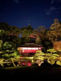 🇯🇵 京都世界遺產二條城 一定要晚上來！🎇