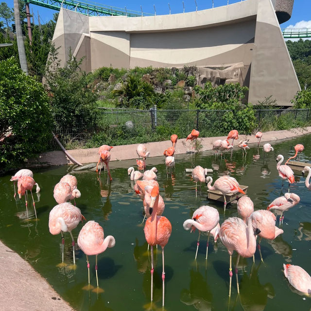 多摩動物公園～親子遊好地方