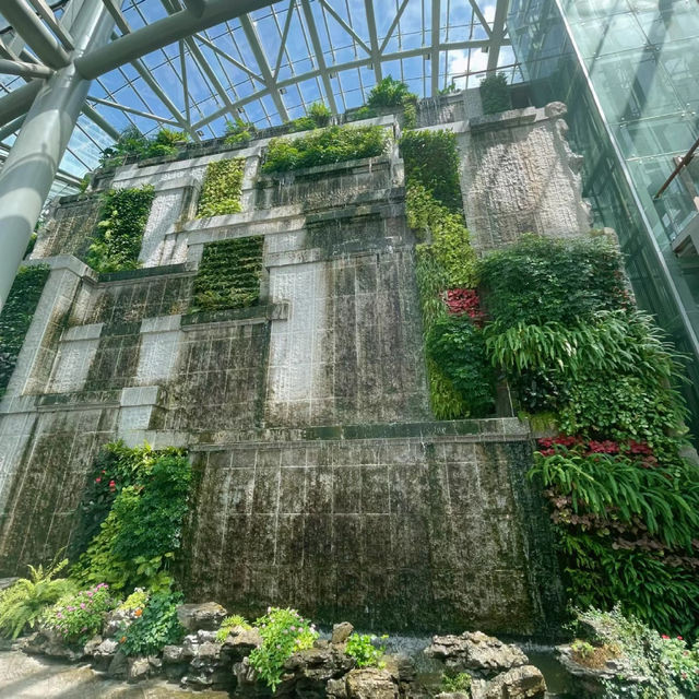 🌼廕生植物園🌼一片綠意盎然的自然樂園 🌼