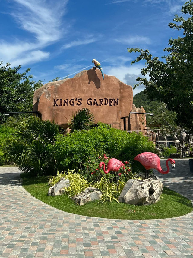 ชม Flamingo 🦩🍃 เจ้านกสีชมพูสุดหวานแหว๋ว 💖
