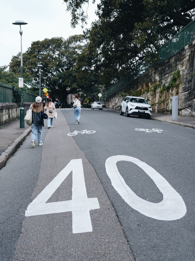 🇦🇺 悉尼 觀看日落好地方 當地人都會來這裏野餐！🧺