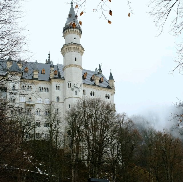 🇩🇪德國迪士尼 新天鵝堡🇩🇪🇩🇪