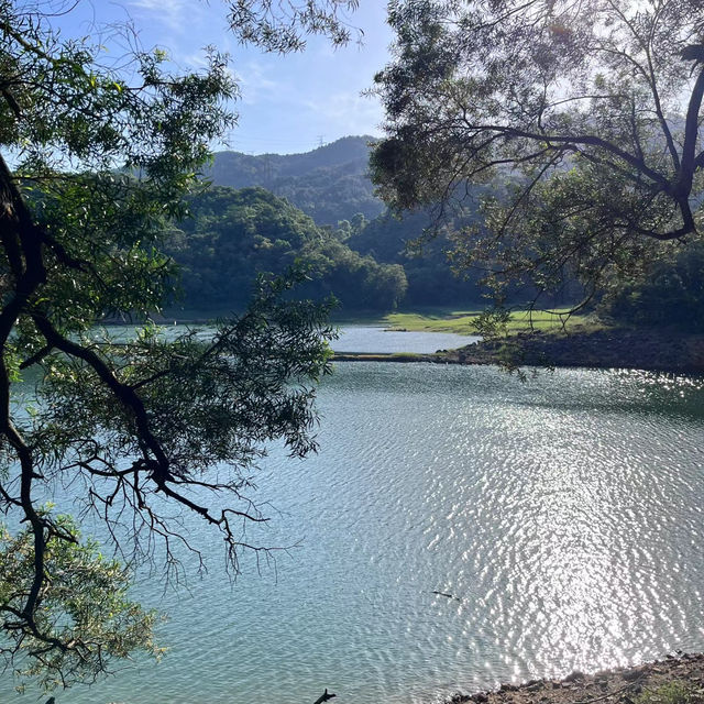 🌲 棲蘭森林遊樂區～自然風光滿滿